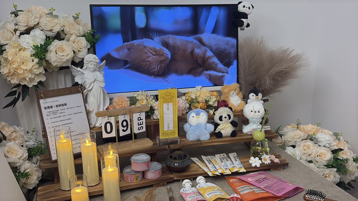 沧州新华区灵堂工作室