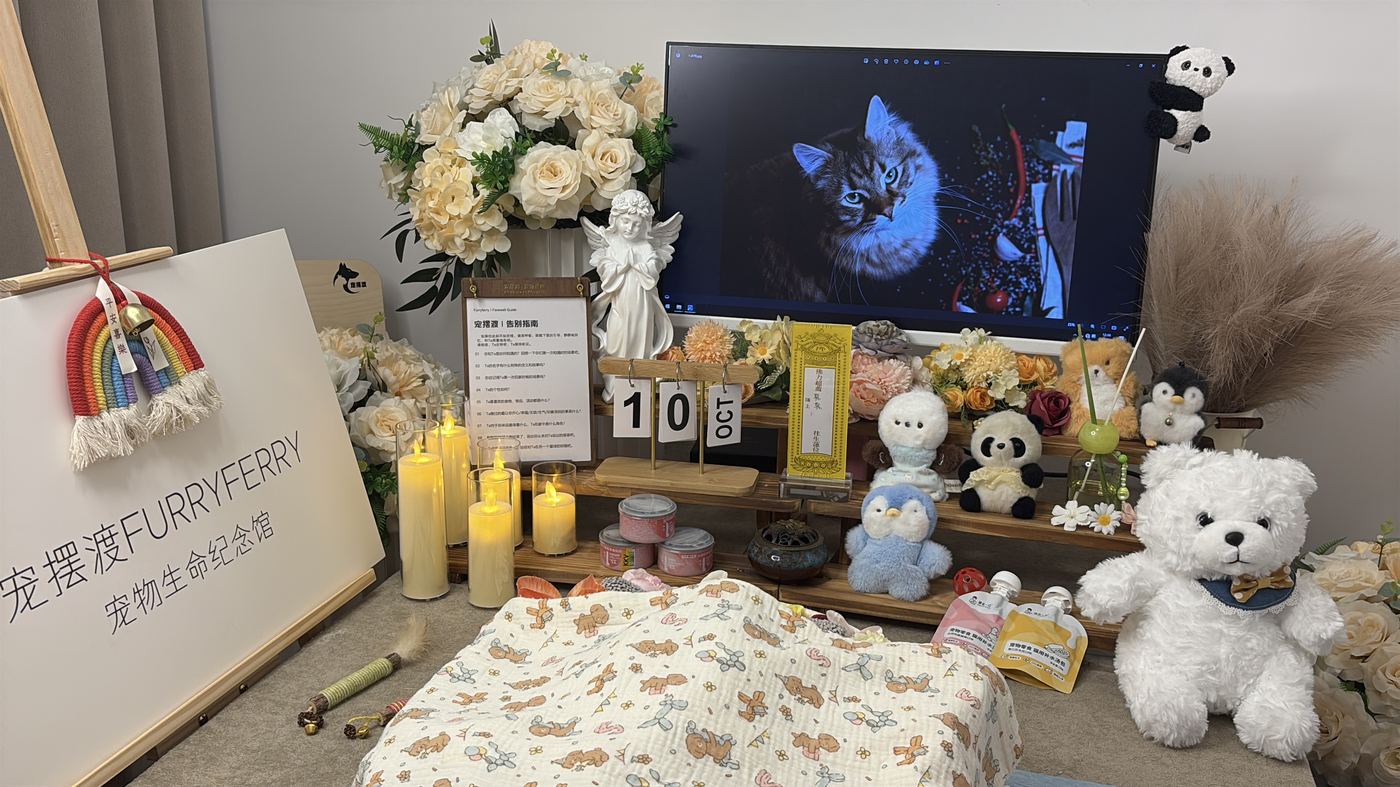 沧州宠物告别厅布置：如何给狮城家属一个体面的告别